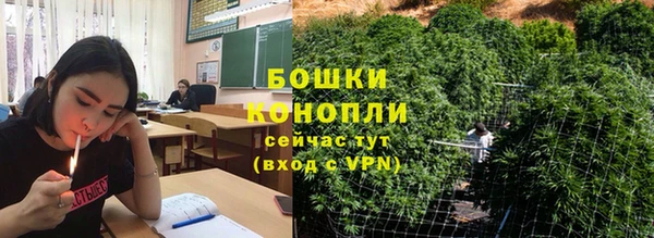 дживик Мегион