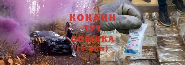 дживик Мегион