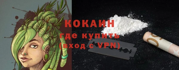 дживик Мегион