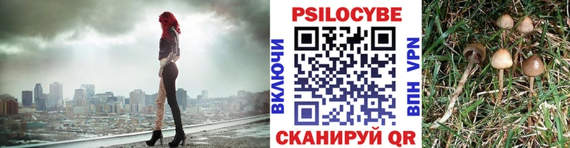 Псилоцибиновые грибы Psilocybe  закладка  Калуга 