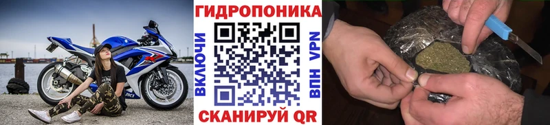 Канабис ГИДРОПОН  где найти наркотики  Калуга 
